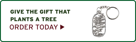 Give the gift that plants a tree